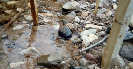 TRNOVO: DJEČAK U IGRI PRONAŠAO BOMBU U RIJECI