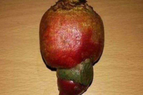 570231-screenshot-326-ls