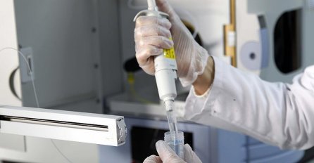 Zbog svinjske gripe pogubljeno 1,7 miliona svinja u Vijetnamu