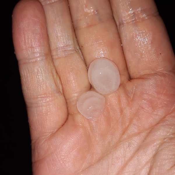 60322581-115219319705742-667837163045198343-n