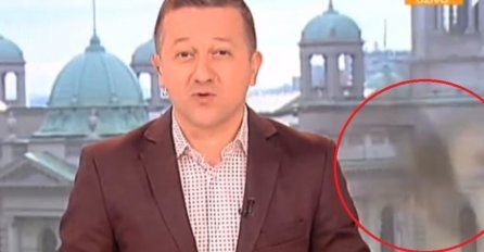 ŠTA SE OVO POJAVILO U JUTARNJEM PROGRAMU? Jovana i Srđan najavili prilog, a onda se desilo NEZAMISLIVO! Gledaoci zovu i traže OVAJ SNIMAK! (VIDEO)