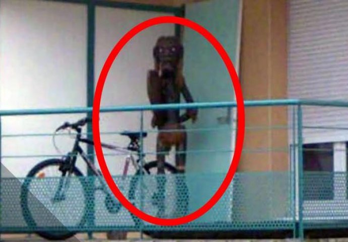 5 fotografija sa Google Mapsa koje niko ne može objasniti, čekajte da vidite posljednju...