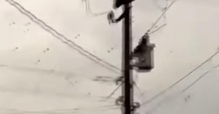 MISLIO JE DA SNIMA JATO PTICA U DALJINI: Ali kada je zumirao kameru umalo ga nije STREFIO INFARKT! (VIDEO)