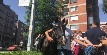 Konj Milan stigao pred zgradu OHR-a, okupljeni traže hitnu reakciju Incka