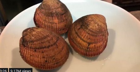 NARUČIO JE ŠKOLJKE U SKUPOM RESTORANU: Ono što ga je dočekalo na tanjiru cijeli svijet GLEDA U ČUDU! (VIDEO)