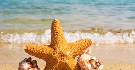 Počelo ljeto i najduži dan u godini 