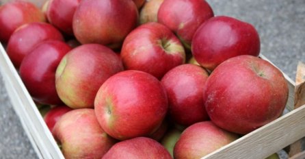 HITNO UPOZORENJE, POVLAČI SE OVA VRSTA JABUKE SA TRŽIŠTA: Ni slučajno ne kupujte, EVO ŠTA SU NAŠLI U NJOJ!