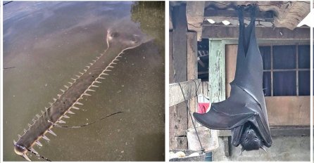 FOTOGRAFIJE KOJE POKAZUJU KAKO IZGLEDA PRIRODA ŠIROM SVIJETA: Kada vide broj tri svi se uhvate za glavu! 