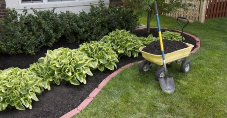 MOJA SVEKRVA SIPA OVO NA KOROV I ON NESTAJE: Uz ovo ne morate travu čupati u dvorištu, a biljkama nećete naštetiti!