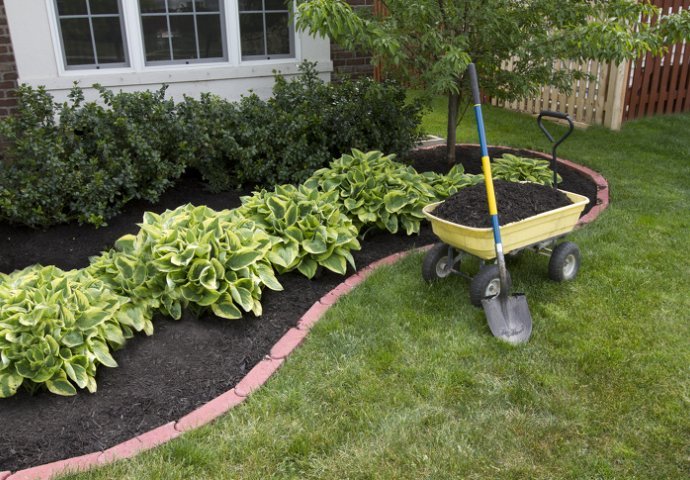 MOJA SVEKRVA SIPA OVO NA KOROV I ON NESTAJE: Uz ovo ne morate travu čupati u dvorištu, a biljkama nećete naštetiti!