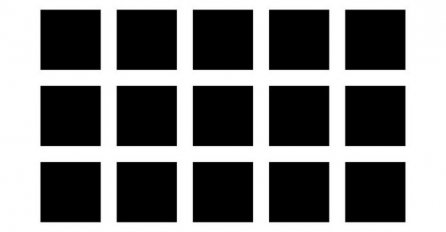 Baš NIKOME nije pošlo za rukom da na ovoj slici nađe 12 tačaka: Ako vi uspijete u tome, MORA DA STE GENIJE