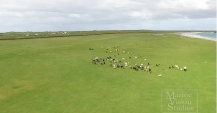 PRILIKA ZA NEZAPOSLENE, ONI NUDE POSAO, PLATA 25.000 EURA: A ovo su sva ZADUŽENJA! 