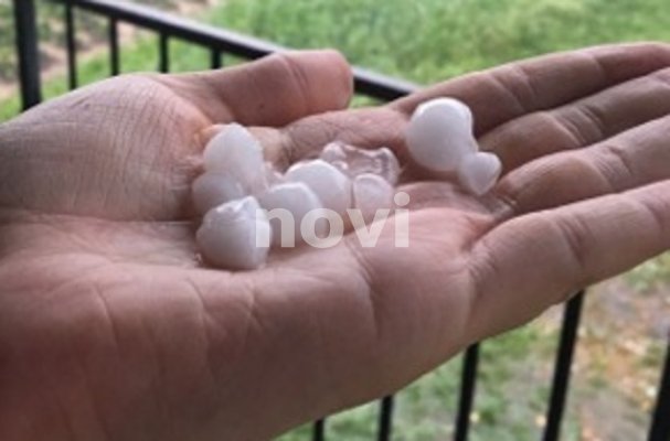 66269297-626112321198266-6749976379124613120-n