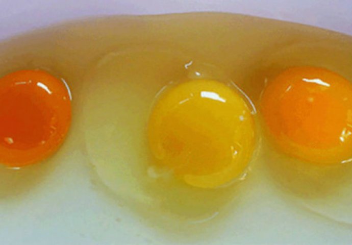 Koje od ovih jaja je snijela BOLESNA KOKOŠKA: Kladimo se da nećete pogoditi, JEDAN FAKTOR JE NAJVAŽNIJI!
