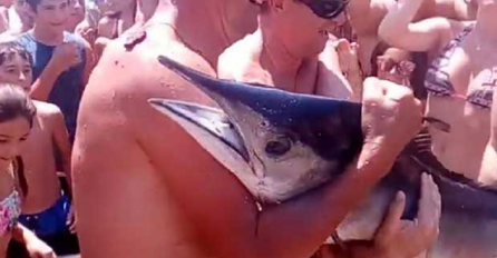 Kad vidite šta su u  BUDVI IZVUKLI IZ VODE više nećete plivati bez straha od ONOG ŠTO VREBA ISPOD VAS U DUBINI (VIDEO)