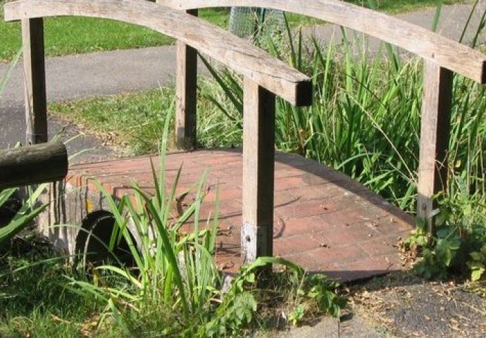 PRIČA O DVA BRATA: Ovo ćete pročitati za 2 minute, ali pamtiti cijeli život