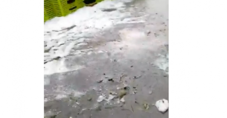 SRBIJA OVO NE PAMTI! Usred ljeta ZABIJELILE SE ULICE, stradali malinjaci, NEZAPAMĆENO NEVRIJEME NOSILO SVE PRED SOBOM (VIDEO)