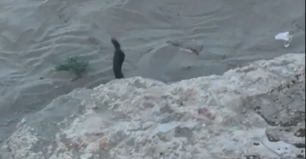 SRPSKI TURISTA OTIŠAO NA LJETOVANJE I SNIMIO SCENU ZBOG KOJE BI SVI POBJEGLI GLAVOM BEZ OBZIRA: Vidite li šta se događa (VIDEO)