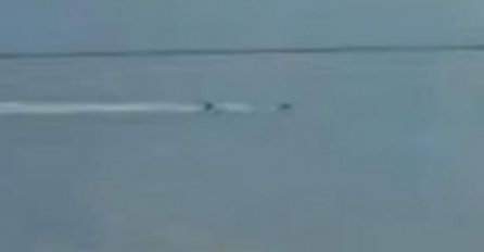 AJKULA UZNEMIRILA TURISTE U HRVATSKOJ, SNIMLJENA U PLIĆAKU: Niko više nije bezbjedan (VIDEO)