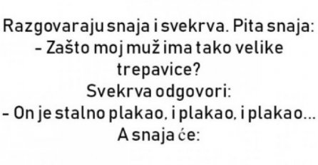 VIC: Svekrva i snaha