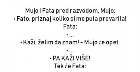 VIC  : Razvod Muje i Fate