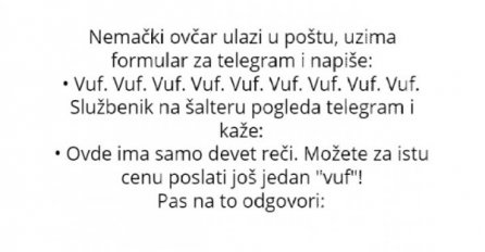 VIC : Njemački ovčar ulazi u poštu, uzima formular za telegram i napiše: