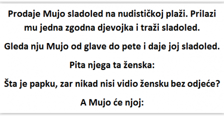 VIC: Prodaje Mujo sladoled na nudističkoj plaži. Prilazi mu jedna zgodna djevojka i traži sladoled