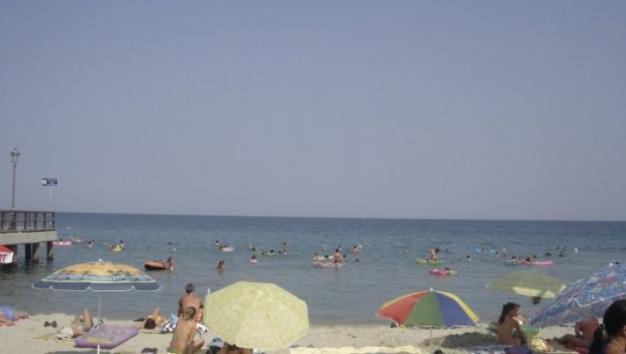 foto-wikimedia-lemur12