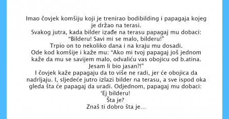 VIC DANA: Imao čovjek papagaja