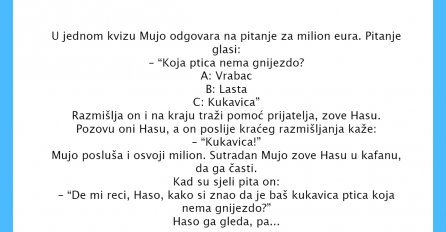 VIC DANA: U jednom kvizu Mujo odgovara na pitanje za milion eura