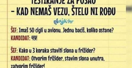 OVAKO IZGLEDA TESTIRANJE ZA POSAO: Kada nemaš vezu, štelu, a ni rođu! (URNEBESNO)