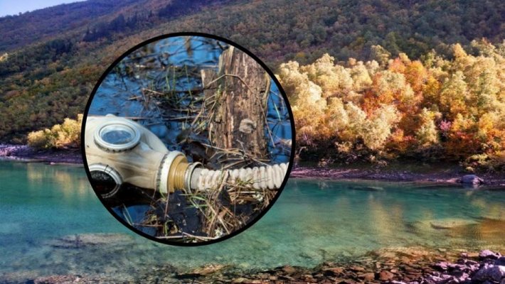 9e0236e825c4eea55eb6