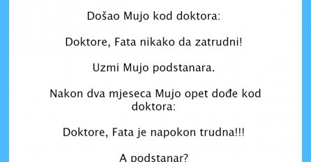 VIC DANA: Mujo i podstanar