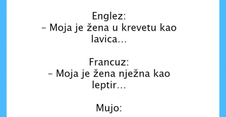 VIC: Englez  -Moja je zena kao lavica u krevetu..