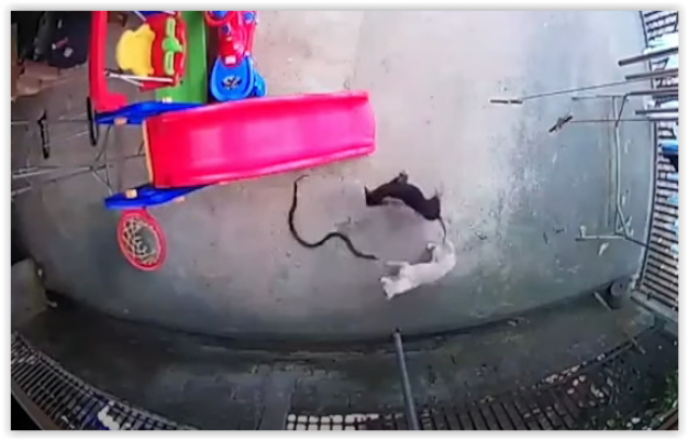 screen-shot-07-25-19-at-09-46-pm-001