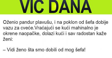 "Vjenčali se plavuša i policajac, i od njegovog šefa dobili čudan poklon. Ono što je uslijedilo je urnebesno..."