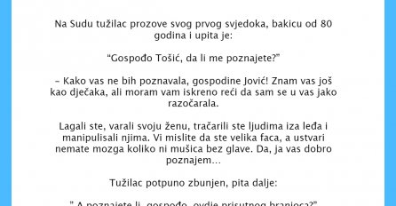 VIC DANA: Baka svjedok na sudu