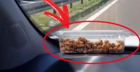 VOZAČ SNIMAO KOLONE NA NAPLATNOJ RAMPI KOD BEOGRADA, ALI SVI GLEDAJU U KUTIJU IZNAD VOLANA: Nije ni slutio da se ovo vidi, cijeli internet plače od smijeha (FOTO)