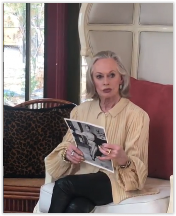 screen-shot-07-31-19-at-02-25-pm