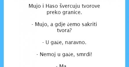VIC: Mujo i Haso švercuju tvorove