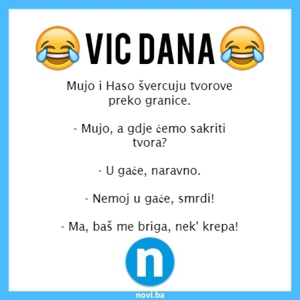 vicccc1