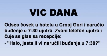 VIC DANA: Vrhunska usluga