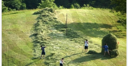 PRIMORANI NA TEŽAK FIZIČKI RAD PO VISOKIM TEMPERATURAMA: Migranti kupe sijeno da zarade za kartu. Dnevnica MIZERNA, a nekad dobiju obrok i vodu
