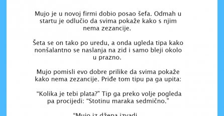 VIC DANA: Mujo u novoj firmi dobio posao šefa