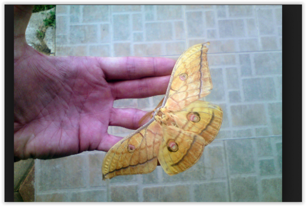 screen-shot-08-02-19-at-10-26-pm