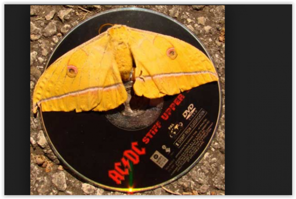 screen-shot-08-02-19-at-10-27-pm