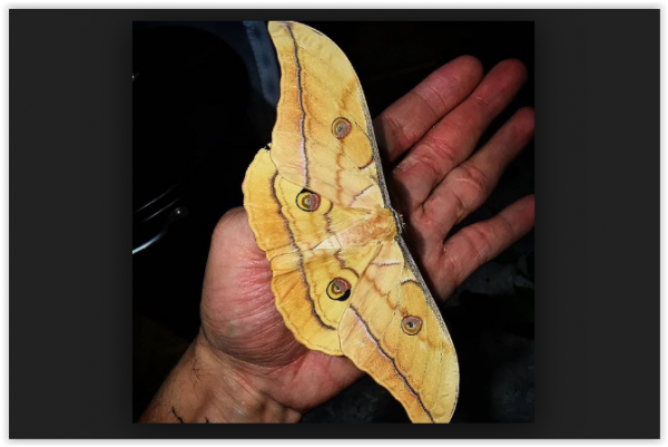 screen-shot-08-02-19-at-10-30-pm