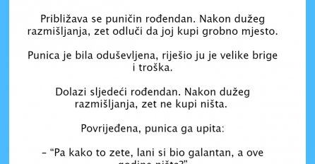 VIC DANA: Punicin rođendan