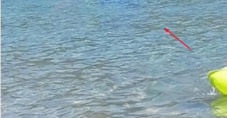 U njega je gledala CIJELA PLAŽA: Otišao je u more sa dušekom, ali zbog onog što je PONIO U RUKAMA svi su se krenuli smijati!