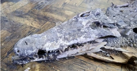 RENOVIRALI SU ŠKOLU, PA U PODU PRONAŠLI STRAVIČNU STVAR ZA KOJU SU MISLILI DA JE SAMO URBANA LEGENDA: Učenici u nastavnici u šoku gledali!